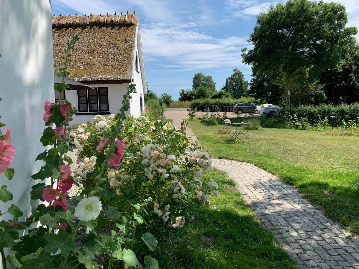 Mariegaardens Gaestehuse Hillerod Exterior photo